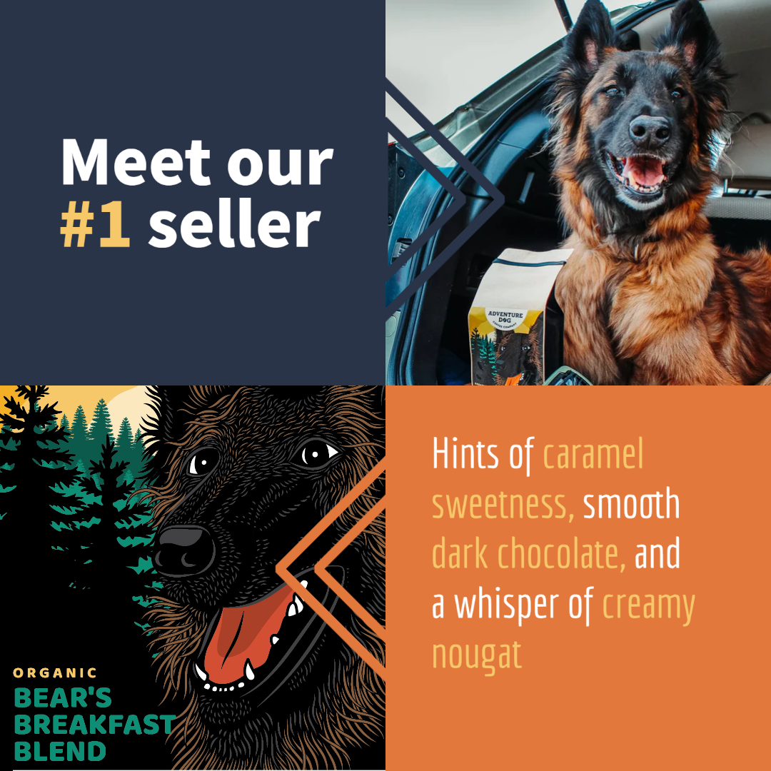 Bear's Breakfast Blend